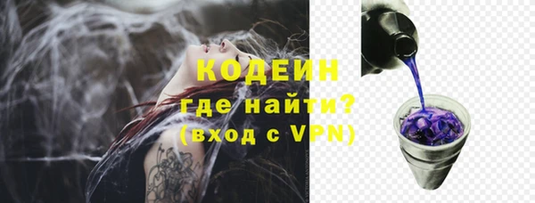 ГАЛЛЮЦИНОГЕННЫЕ ГРИБЫ Арсеньев