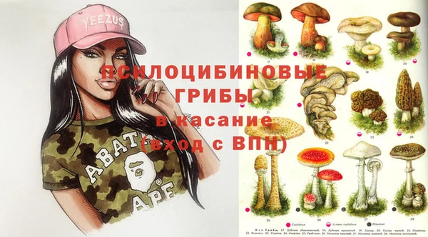 apvp Аркадак