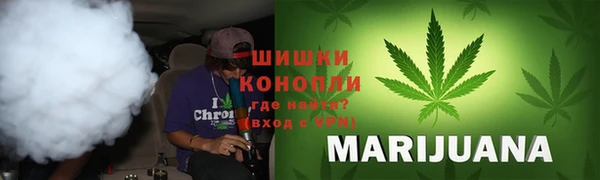 ГАЛЛЮЦИНОГЕННЫЕ ГРИБЫ Арсеньев