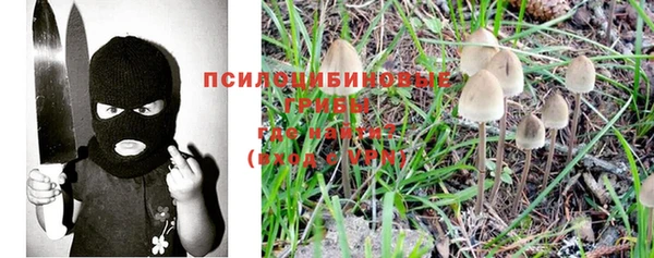 молекула духа Армянск