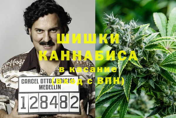 apvp Аркадак